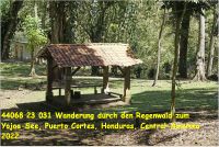 44068 23 031 Wanderung durch den Regenwald zum Yojoa-See, Puerto Cortes, Honduras, Central-Amerika 2022.jpg
